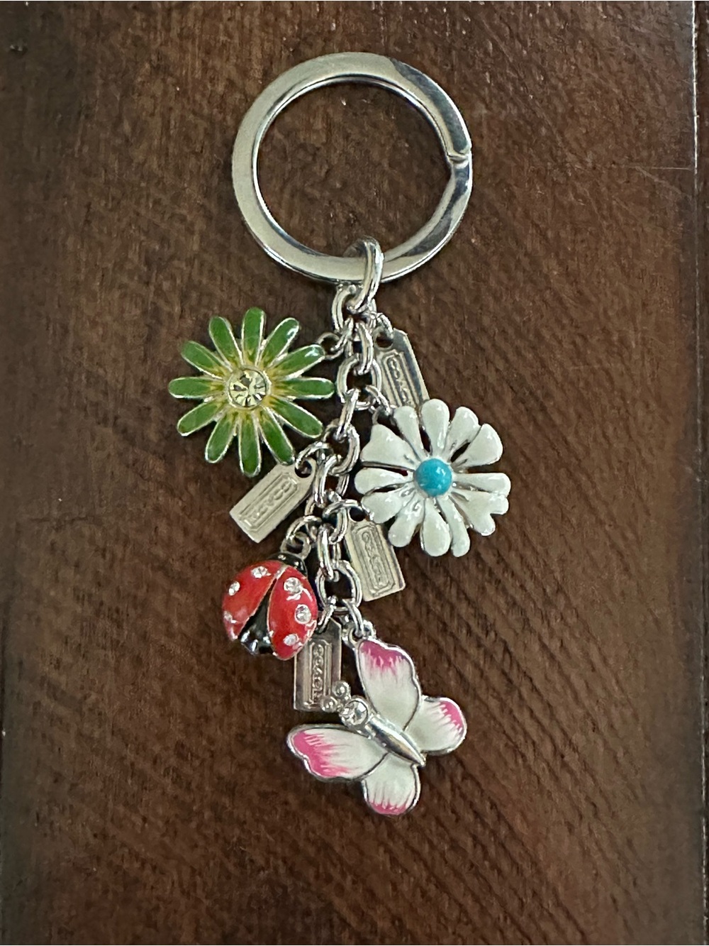 Coach Meadow Mix Key Fob